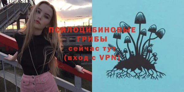 бутират Осинники