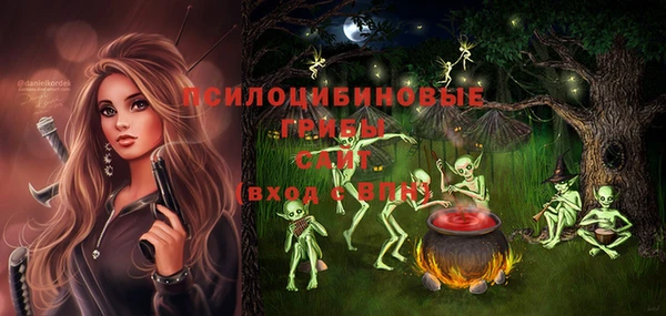бутират Осинники