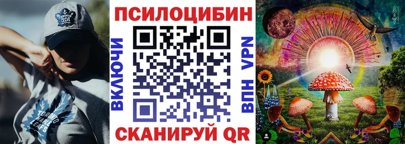 Псилоцибиновые грибы Cubensis  Евпатория 