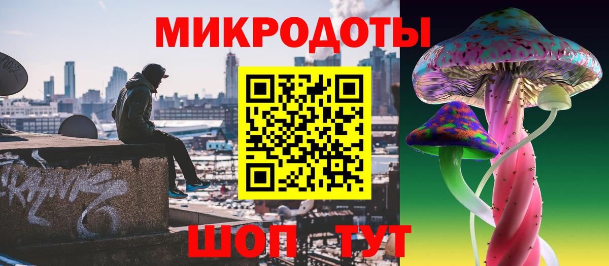 Псилоцибиновые грибы Psilocybe Евпатория