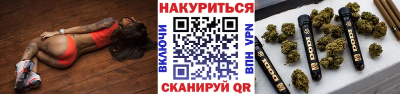Бошки Шишки план Евпатория