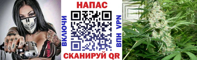 Бошки Шишки план  omg вход  Евпатория 
